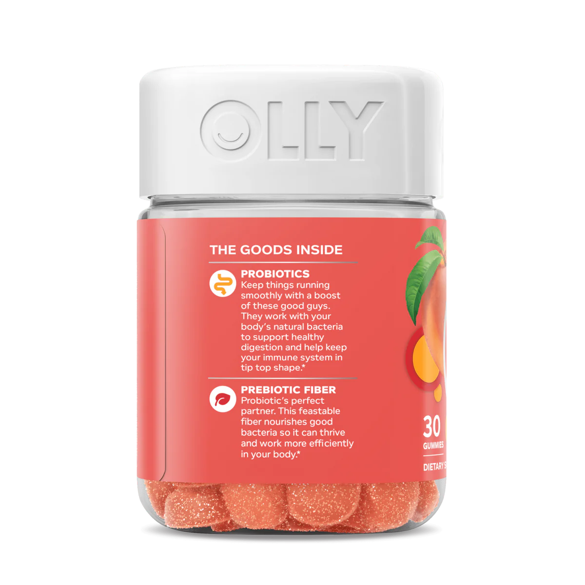 Probiotic + Prebiotic